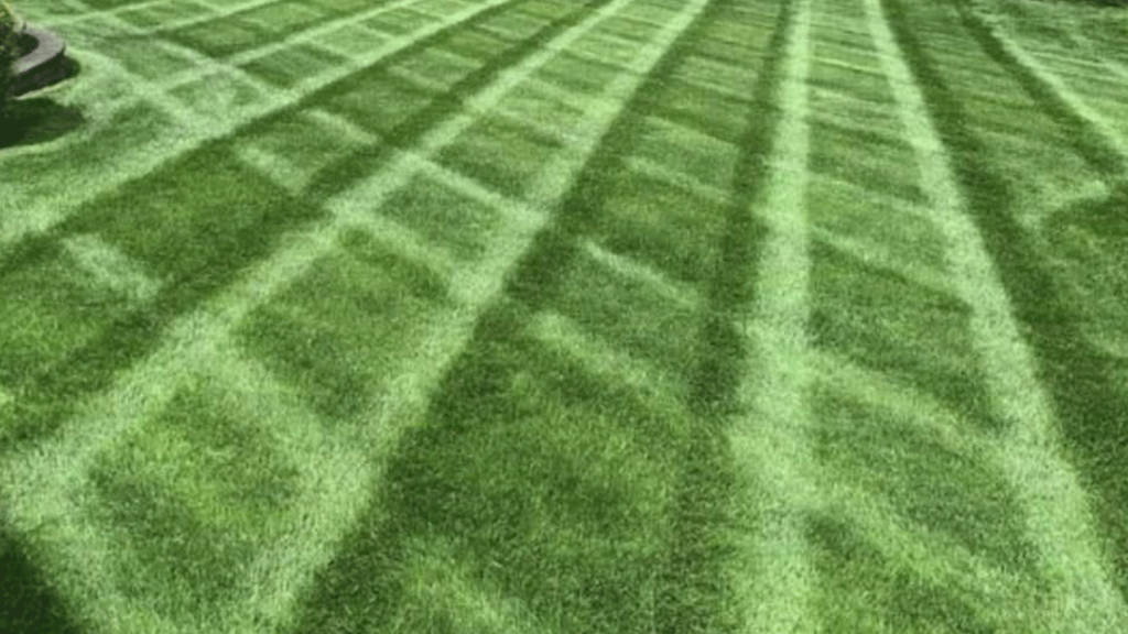 Lawn Care